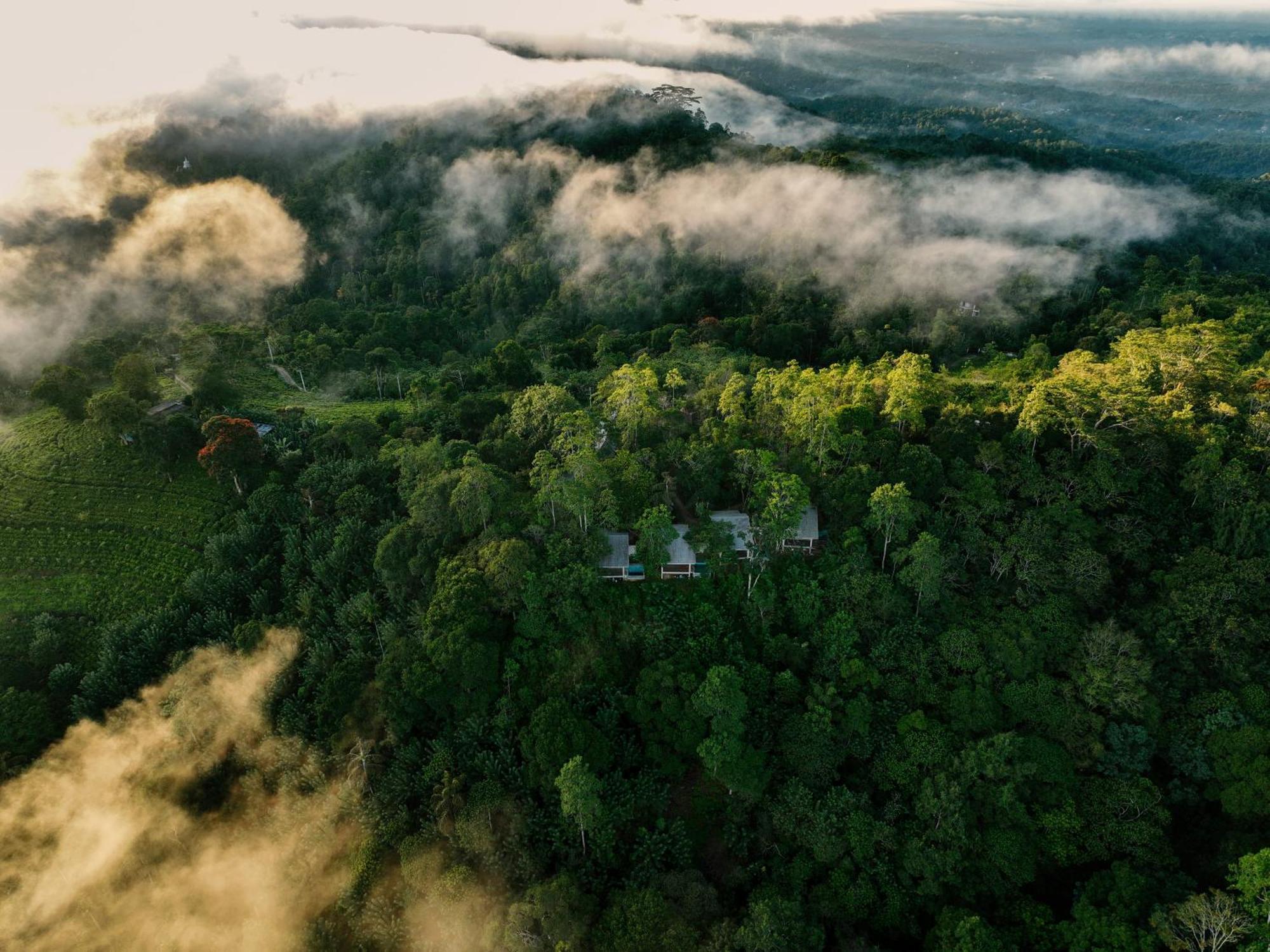 Celestial Hills - Villas & Suites By The Clarks Kandy Exteriér fotografie